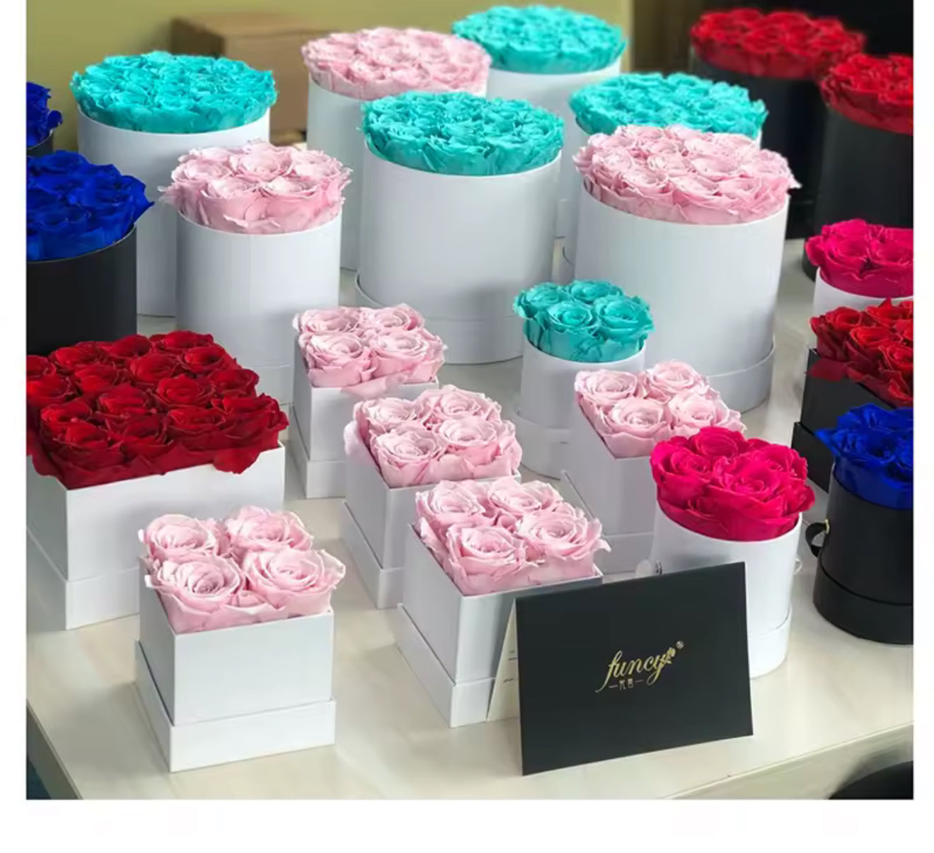 Preserved Flower & Gift Box Suppliers