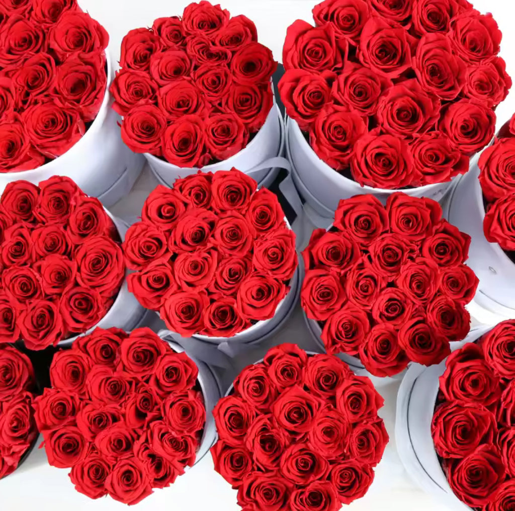Preserved Flower & Gift Box Suppliers